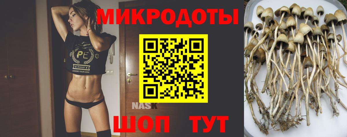 Галлюциногенные грибы прущие грибы  Вход с VPN  Псилоцибиновые грибы Psilocybine cubensis  Аксай 